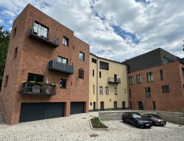 Developerské projekty